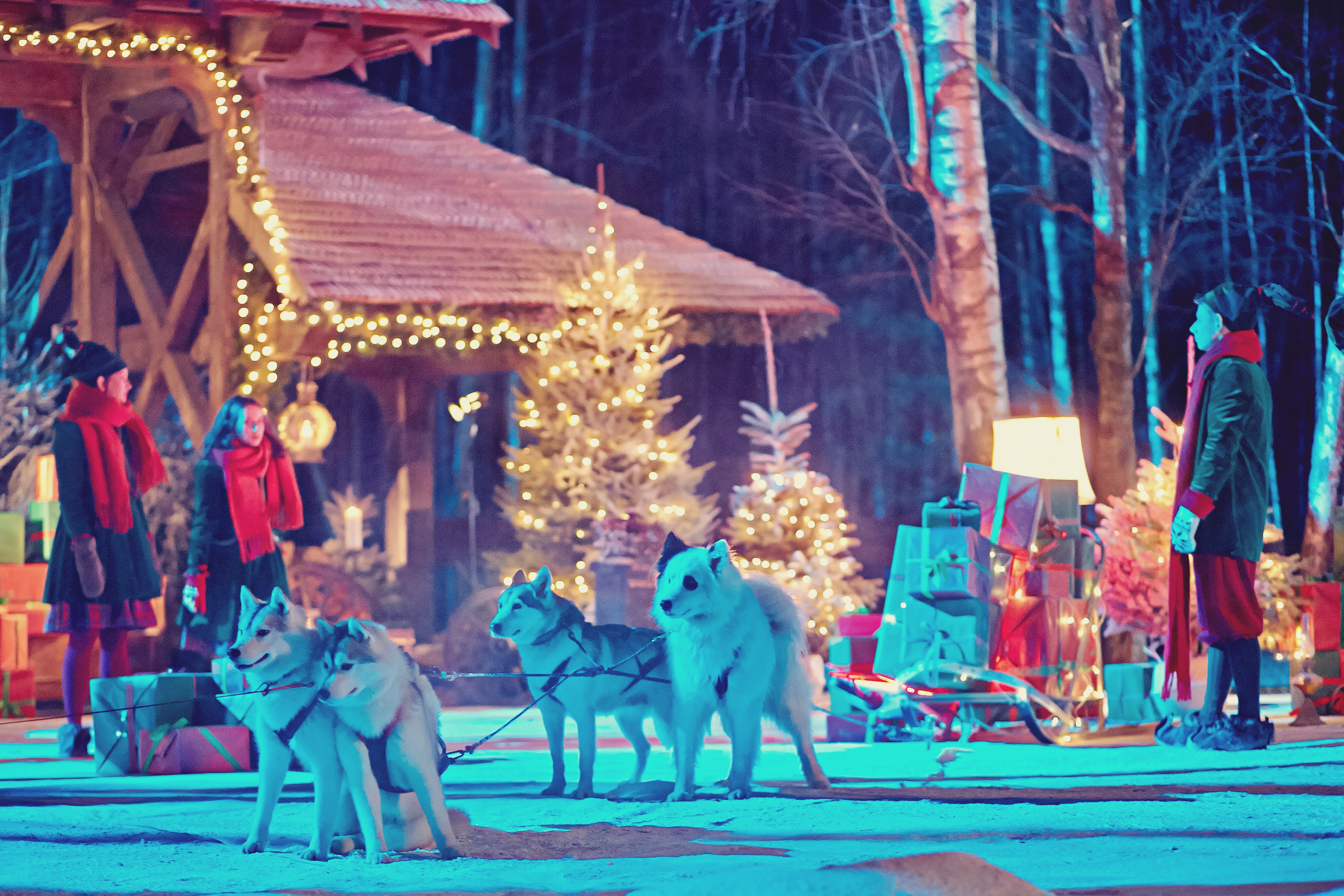 Dom św. Mikołaja - Jak wygląda?