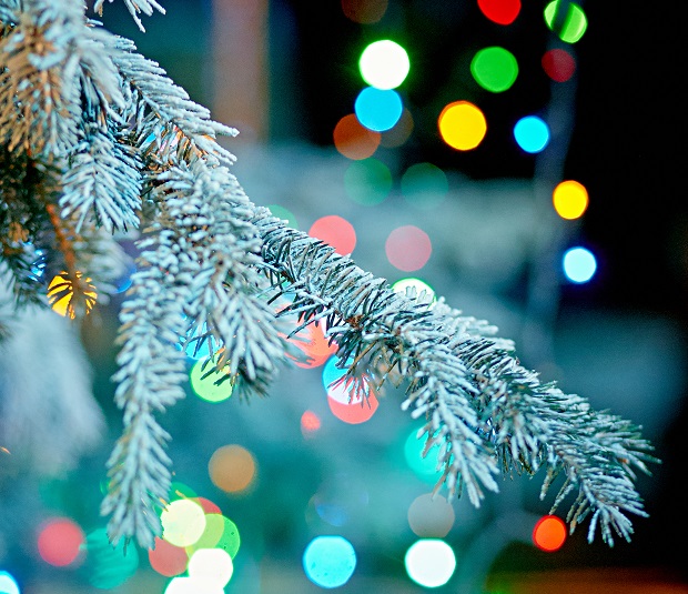 Pierwsze przymrozki - idą święta