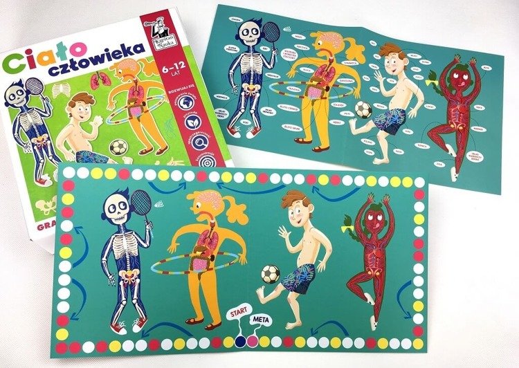 Gra edukacyjna ciało