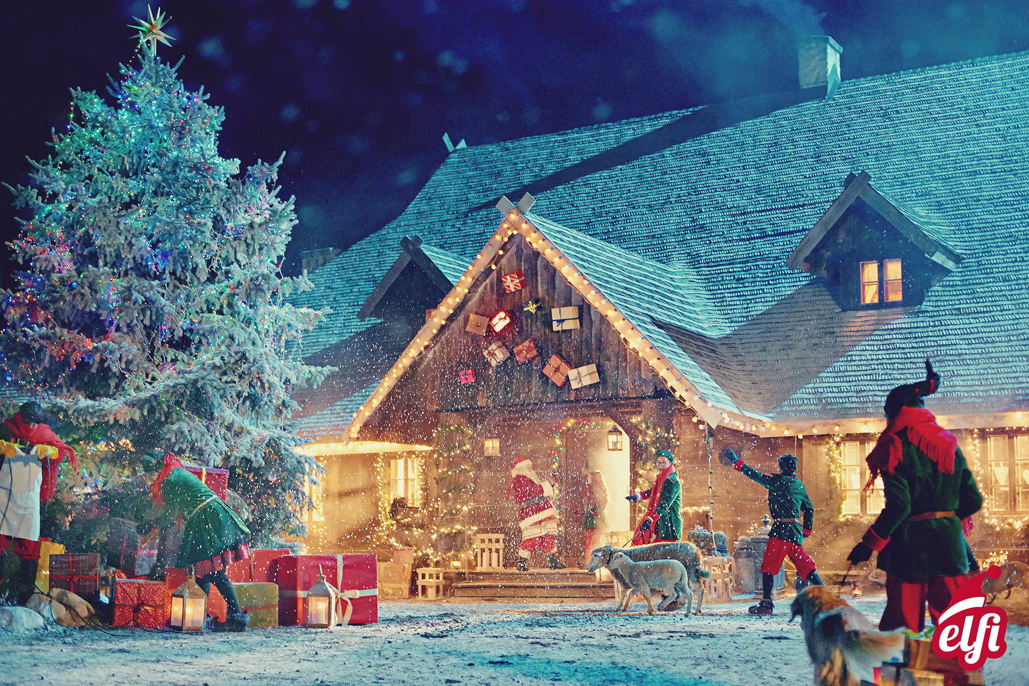 Jak naprawdę wygląda renifer? Fakty i mity